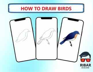 Captura 5 Cómo dibujar pájaros android