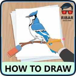 Screenshot 1 Cómo dibujar pájaros android