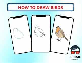 Captura de Pantalla 7 Cómo dibujar pájaros android