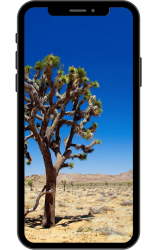 Captura de Pantalla 2 Fondo de pantalla del desierto android