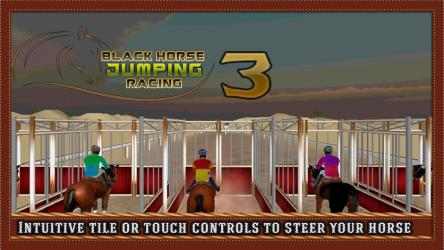 Image 1 Black Horse Jumping Racing windows