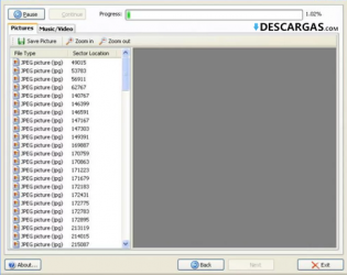 Capture 4 DiskDigger windows