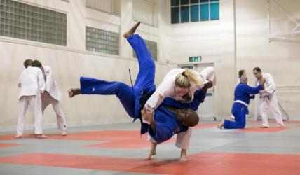 Image 6 Judo windows