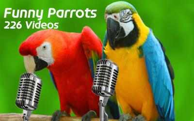 Imágen 1 Funny Parrots windows