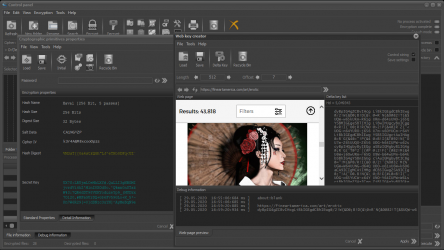 Captura de Pantalla 3 File Protect System-SE windows