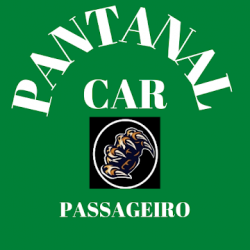 Screenshot 1 Pantanal Car android