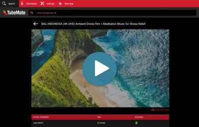 Screenshot 2 TubeMate - YouTube Descargar Video. YouTube MP3 & MP4 Convertidor Musica Gratis windows