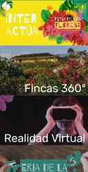 Capture 7 Feria de las Flores 2020 android