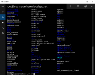 Screenshot 1 Modern SSH windows