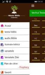 Screenshot 4 Romanian Holy Bible with Audio windows