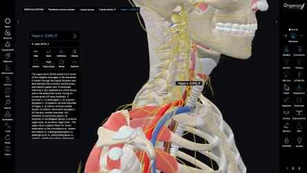 Captura 5 3D Organon Anatomy - Enterprise Edition windows