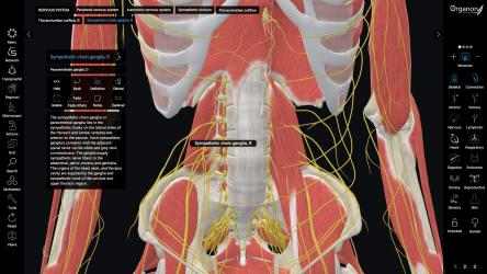 Captura de Pantalla 1 3D Organon Anatomy - Enterprise Edition windows