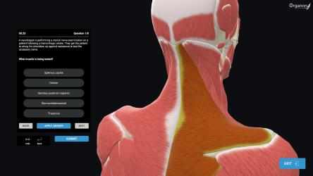 Screenshot 7 3D Organon Anatomy - Enterprise Edition windows
