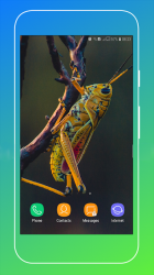 Imágen 8 Grasshopper Wallpaper android