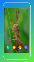 Screenshot 5 Grasshopper Wallpaper android