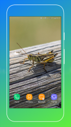 Captura de Pantalla 11 Grasshopper Wallpaper android