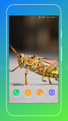 Screenshot 4 Grasshopper Wallpaper android