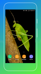 Captura de Pantalla 12 Grasshopper Wallpaper android