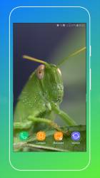 Captura de Pantalla 14 Grasshopper Wallpaper android