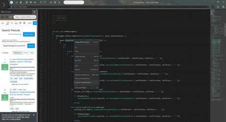 Screenshot 3 Serris Code Editor windows
