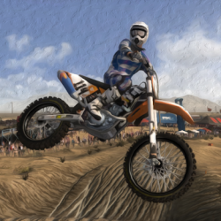 Captura de Pantalla 1 Freestyle Motocross Stunts Offroad MX Dirt Bikes android