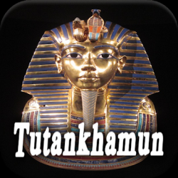 Screenshot 1 Biografía de Tutankamón android