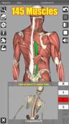 Screenshot 3 3D Anatomy android
