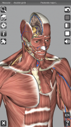 Captura de Pantalla 6 3D Anatomy android