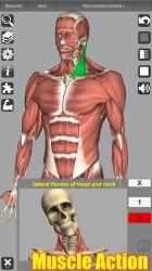 Captura 5 3D Anatomy android