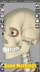 Screenshot 7 3D Anatomy android