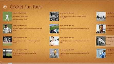Capture 4 Cricket Fun Facts windows