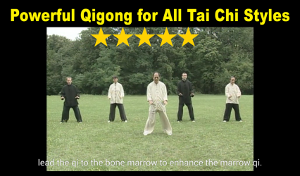 Image 7 Tai Chi Ball Qigong (Dr. Yang) android