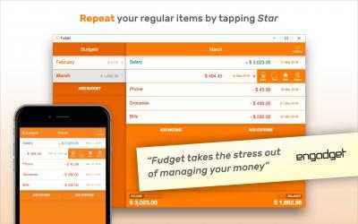 Screenshot 4 Fudget: budget planner & personal finance tracker windows