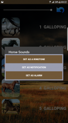 Captura de Pantalla 7 sonidos de caballo android