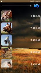 Screenshot 10 sonidos de caballo android