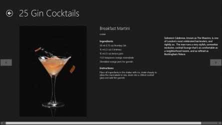 Screenshot 4 25 Ultimate Gin Cocktails windows