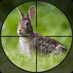 Captura 1 Rabbit Hunting Sweet Challenge: Juegos de Disparos android