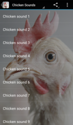 Captura de Pantalla 3 Chicken Sounds android
