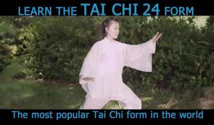 Captura 4 Tai Chi for Beginners 24 Form (YMAA) Helen Liang android