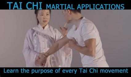 Captura de Pantalla 6 Tai Chi for Beginners 24 Form (YMAA) Helen Liang android