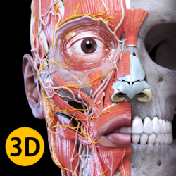 Captura de Pantalla 1 Anatomía - Atlas 3D android