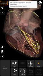 Captura de Pantalla 8 Anatomía - Atlas 3D android