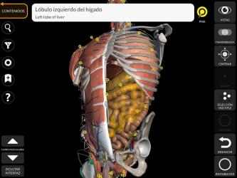 Captura 10 Anatomía - Atlas 3D android