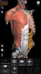Captura de Pantalla 2 Anatomía - Atlas 3D android