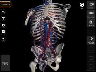 Captura de Pantalla 13 Anatomía - Atlas 3D android
