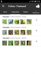 Screenshot 3 Coleiro Pantanal android