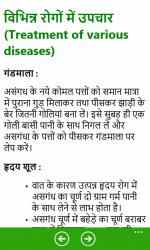 Screenshot 7 Ayurvedic Medicine Guide Hindi windows