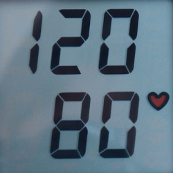 Screenshot 1 MY Blood Pressure android