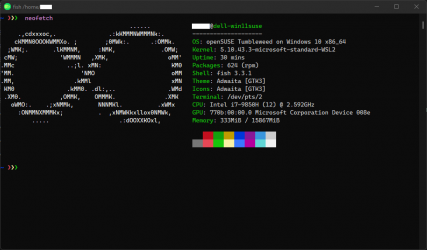 Captura de Pantalla 2 openSUSE Tumbleweed windows