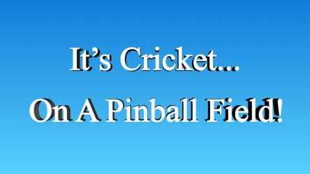 Captura de Pantalla 1 Cricket Twenty20 : Pinball Challenge windows